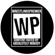 Top Most Watched Wrestling YouTube Channels in the United States of America